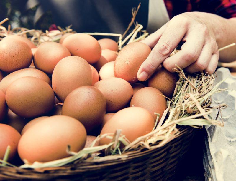 A basket of eggs with someone's hand