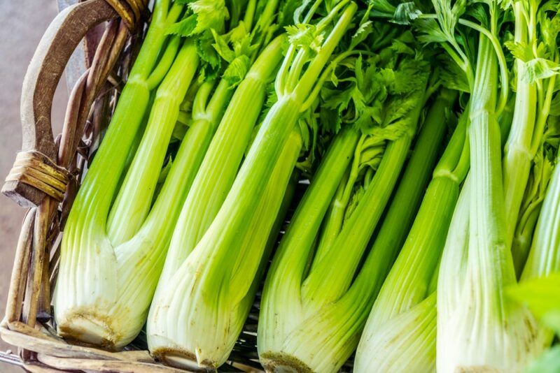 Five heads of fresh celery in a basket