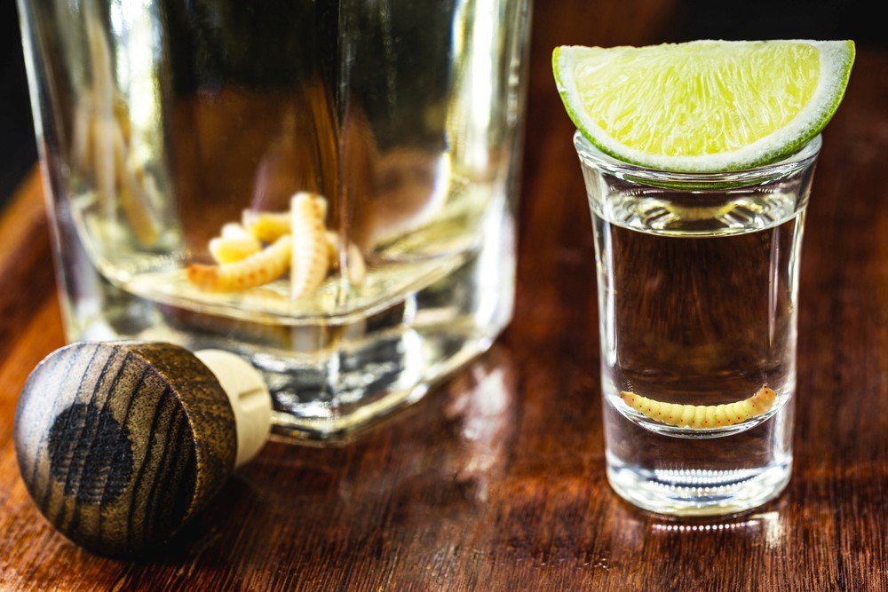 Tequila Worms And Other Creatures You Can Drink Food For Net