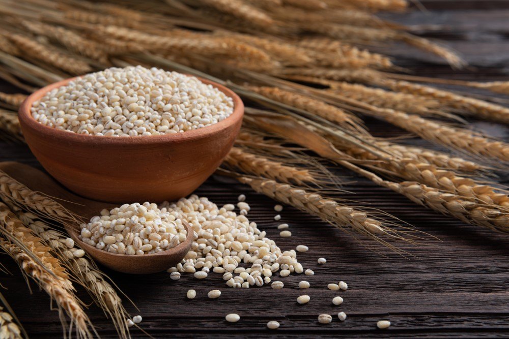 Is Barley Good For You? Food For Net