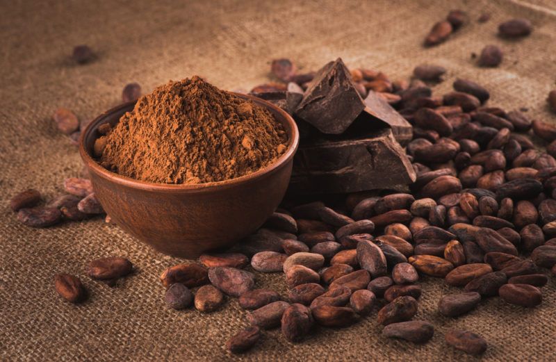 A small brown bowl of cocoa, next to dark chocolate and cocoa beans