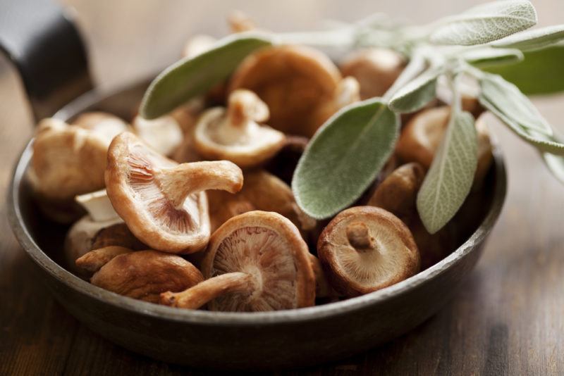 A bowl of mushrooms