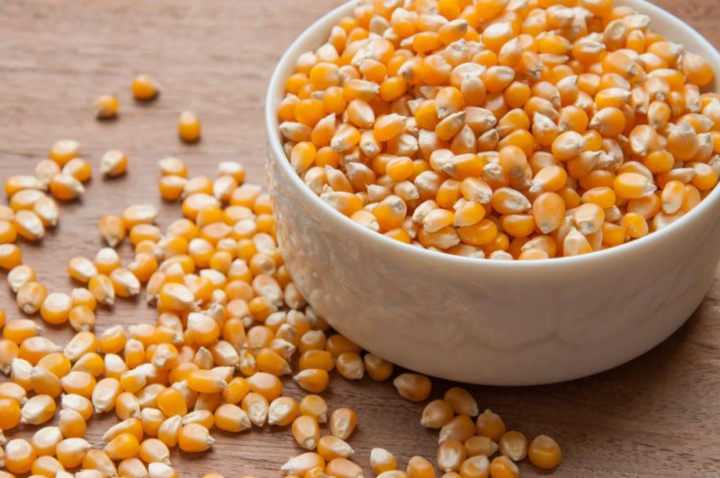 A white bowl that contains unpopped popcorn kernels