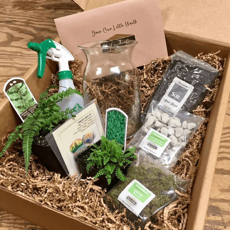 A box from My Garden Box showing various garden tools and plants in straw