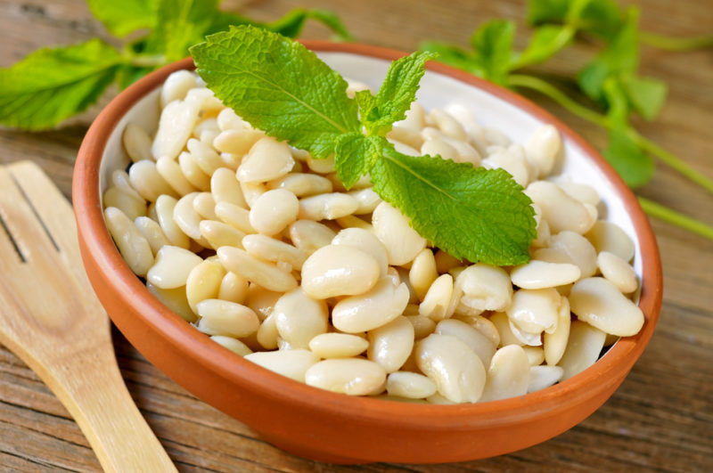 An orange brown bowl of white beans next to a wooden spoon and some greenery