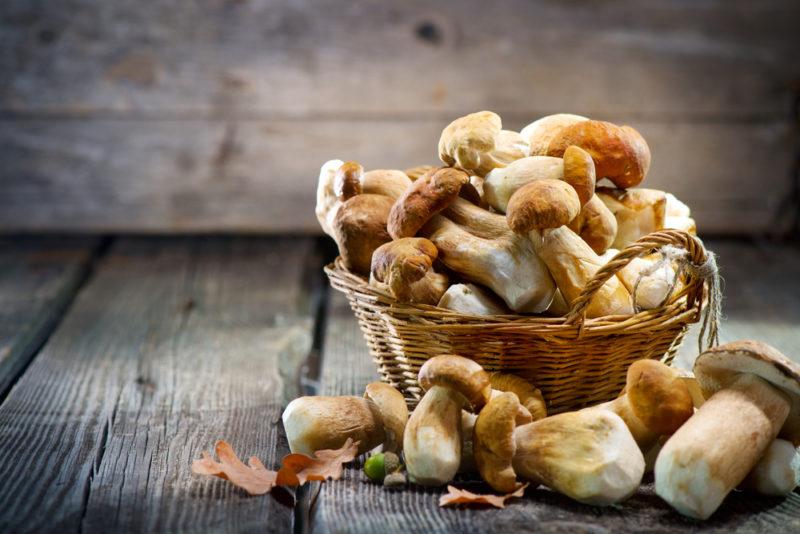 A wicker basket or bucket that contains a selection of mushrooms