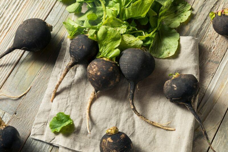 A collection of black radishes. Some are on a piece of paper or cloth, while others are on a wooden table