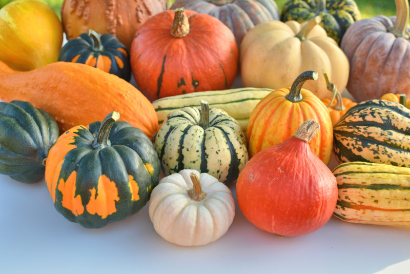 A collection of different winter squashes on a light colored table 