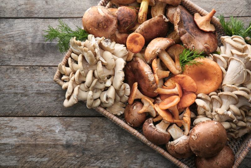 A brown tray containing various unusual types of mushroom