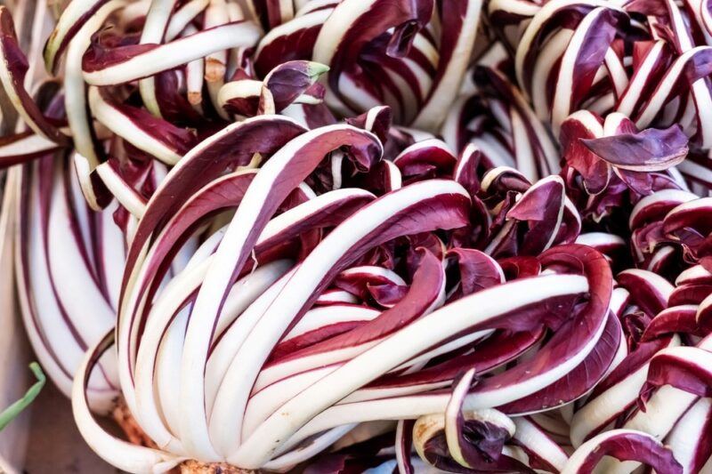 Leaves from a red and white lettuce like vegetable that is actually a type of chicory