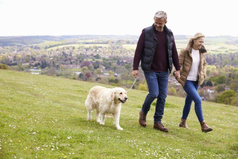 A senior couple walking outdoors with their dog, you can see the city in the background