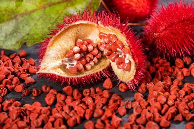 A red achiote fruit opened on a table, next to pieces of the fruit