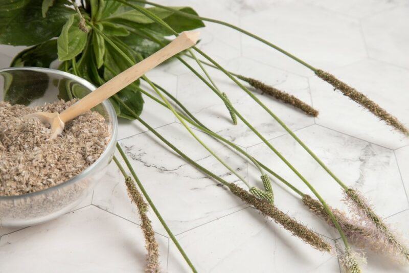 A marble table with psyllium husk plants, next to a glass bowl of the powder with a spoon