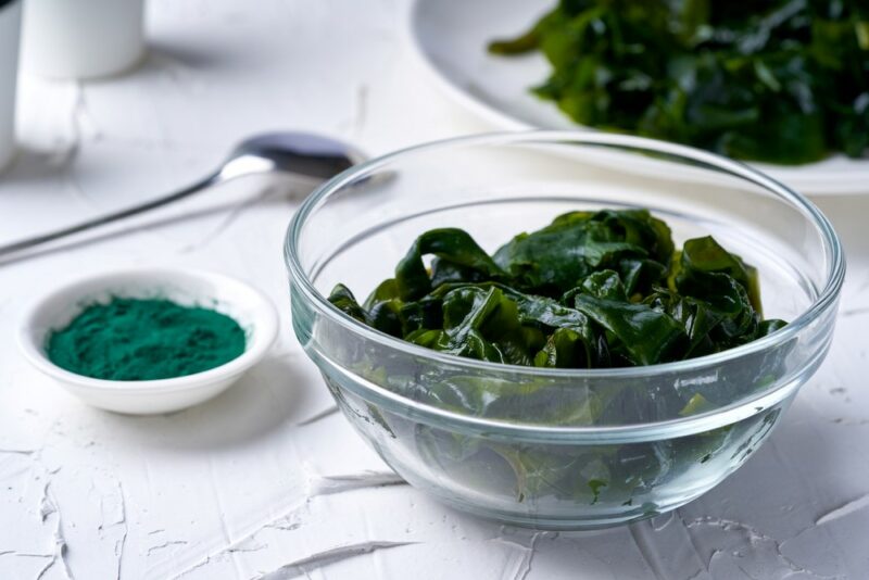 A glass bowl and a plate of spirulina on a table, next to a small white dish of spirulina powder and a spoon