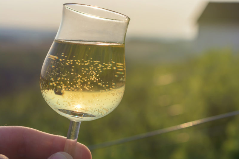 Someone holding a glass of Gewurztraminer wine in their hand, with a vineyard in the background