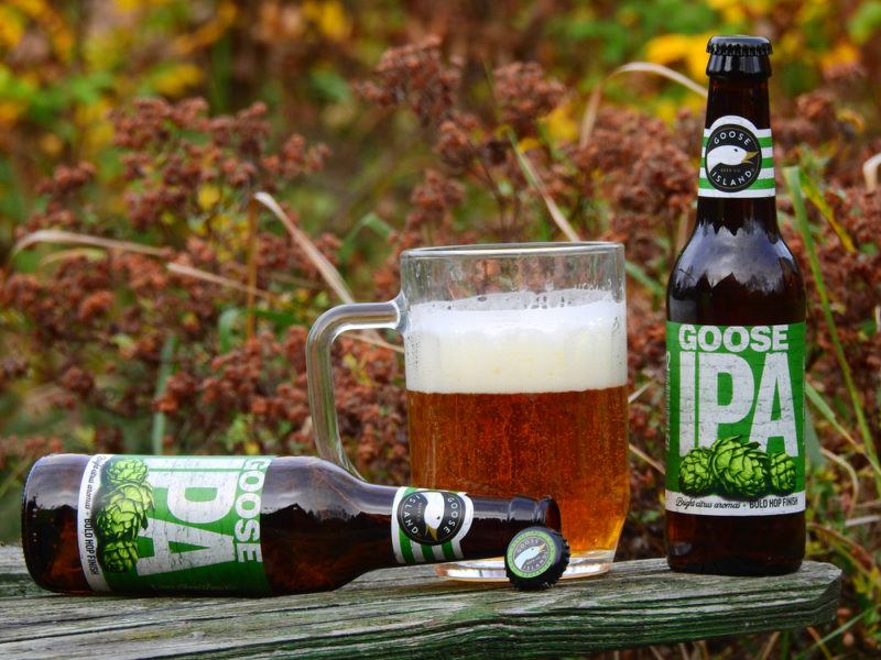 Two bottles of IPA beer, one of which has been tipped over, next to a large mug of the beer