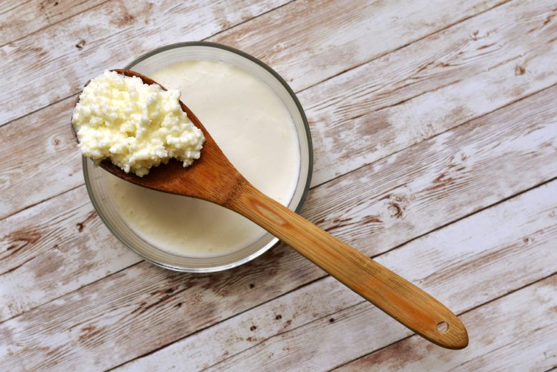 A glass of kefir with a wooden spoon on top that contains kefir grains