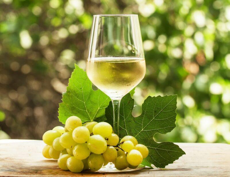 A single glass of white riesling on a table outside, next to some white grapes