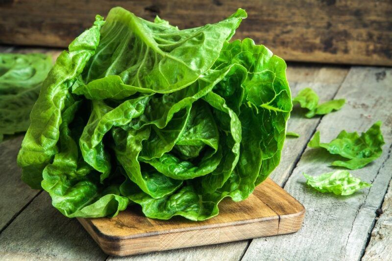 A large lettuce on a small wooden board