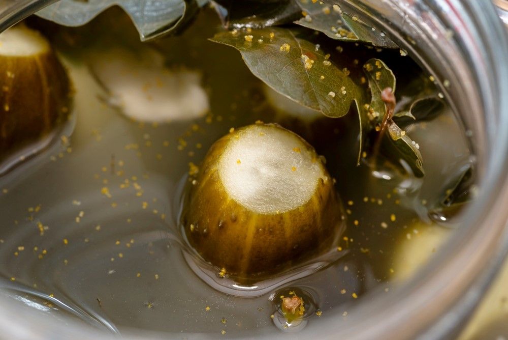 Pickle Juice Vs Apple Cider Vinegar Food For Net