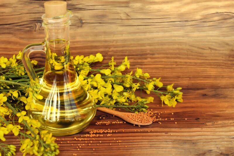 A wooden table with canola flowers and canola oil