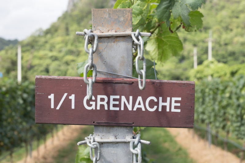 A label for grenache wines in a vineyard