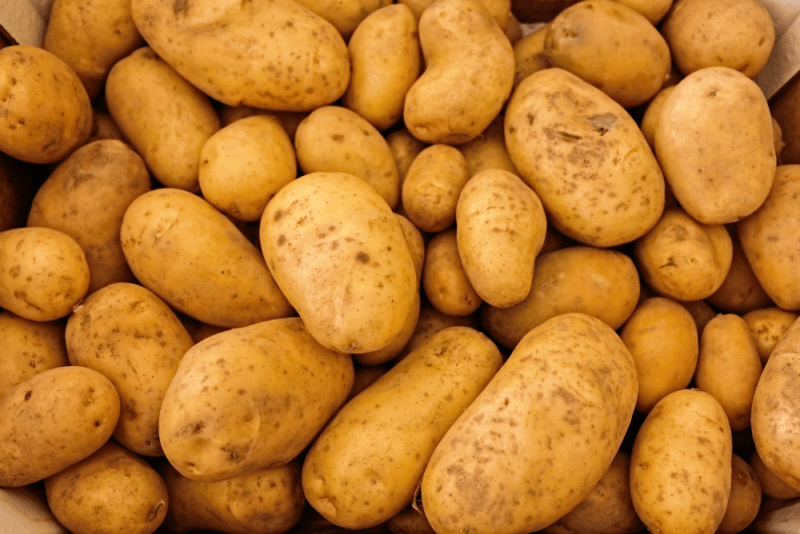 A large pile of fresh potatoes that might be used for freezing