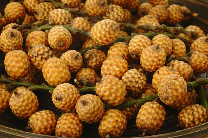 A large pile of rattan fruits with their distinctive pattening