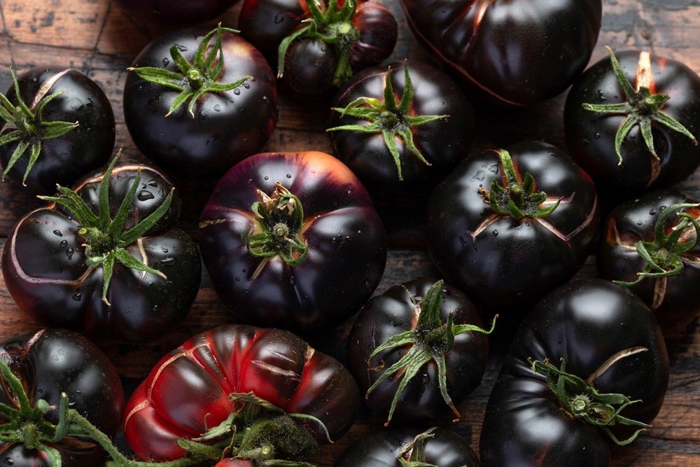 The Best Tomato Varieties For Your Home Garden Food For Net