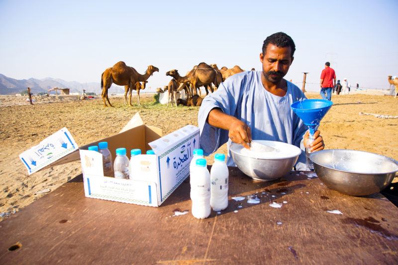 A man in a desert selling camel milk with camels in the background