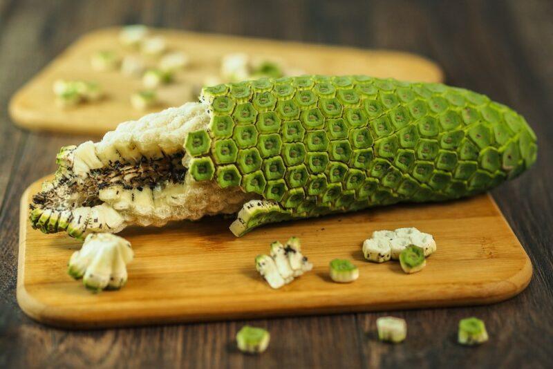 A wooden board with a single large monstera deliciosa fruit on a wooden board