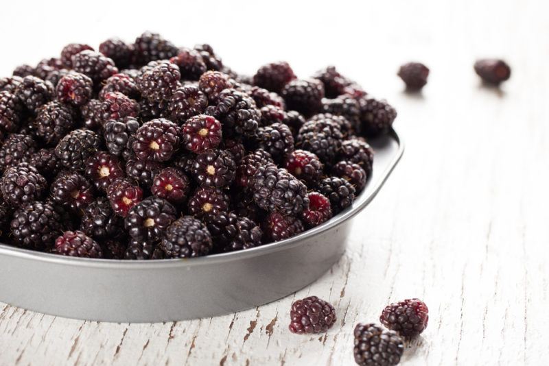 A metal pie tin of boysenberries