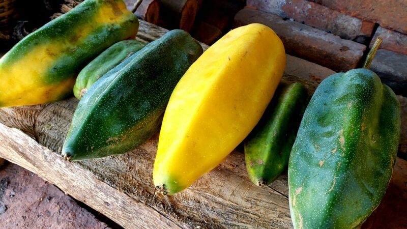 Various babaco fruits of various sizes on wood. Most are green with a little yellow, but there is one fully yellow one there too