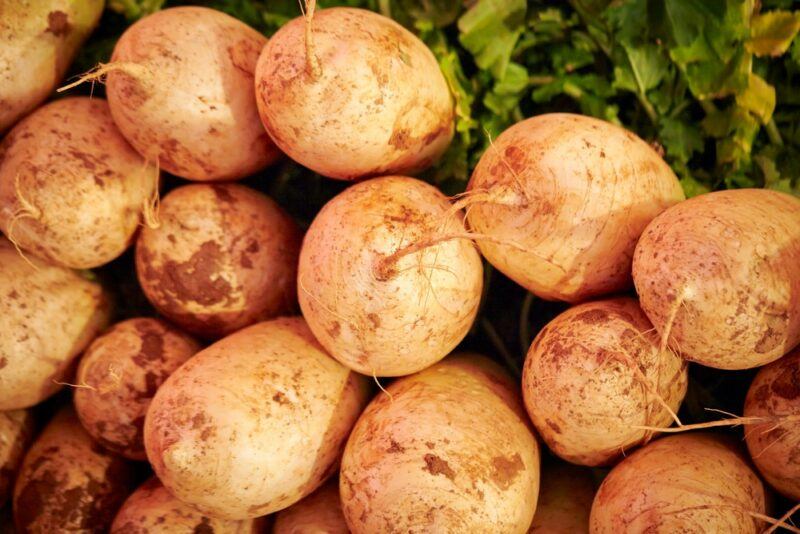 A stack of chonggak radishes, where their tubers can be clearly seen. A small amount of the greens can be seen in the background too.