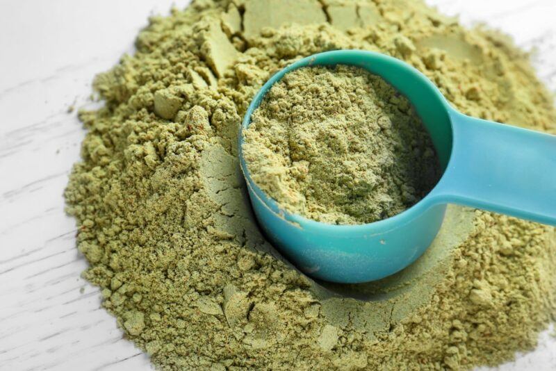 Green hemp powder in a dish with a blue scoop