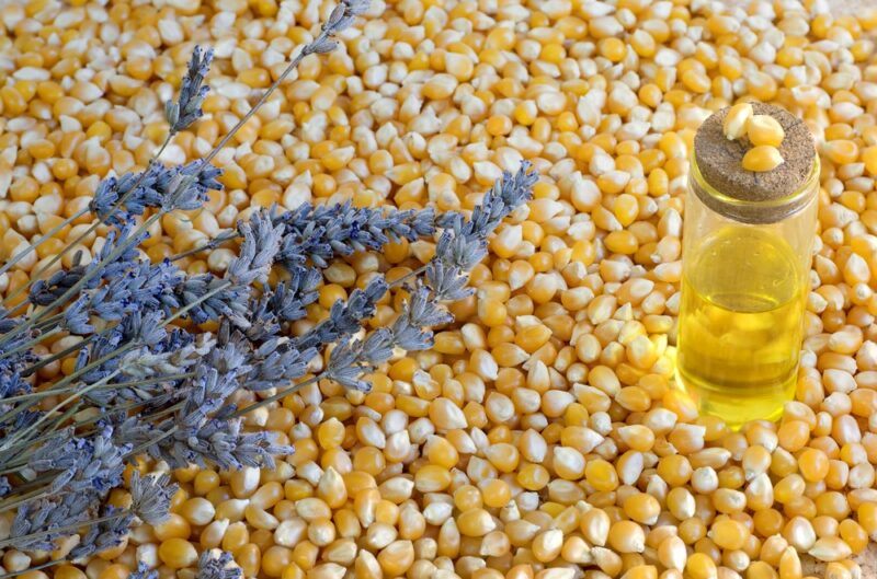 A large pile of popcorn kernels, with lavender sprigs and a bottle of oil