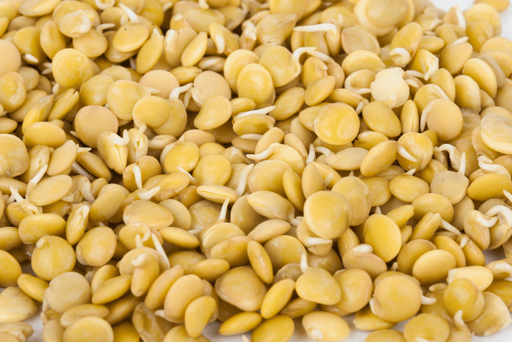 Can You Eat Lentils Raw? | Food For Net