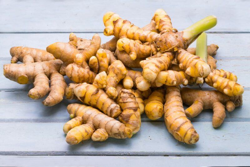 A light table with a collection of turmeric roots