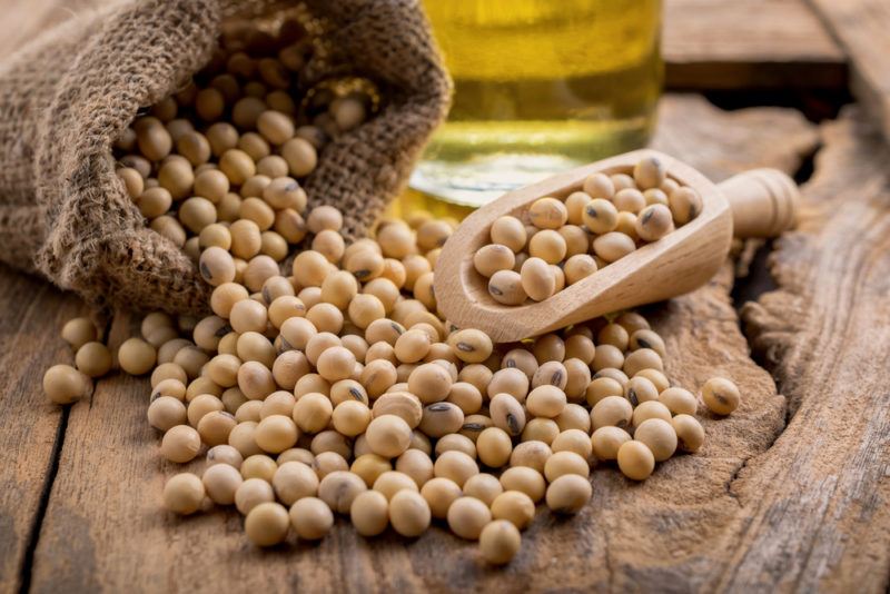 A sack of soybeans spilling out onto a table with a scoop