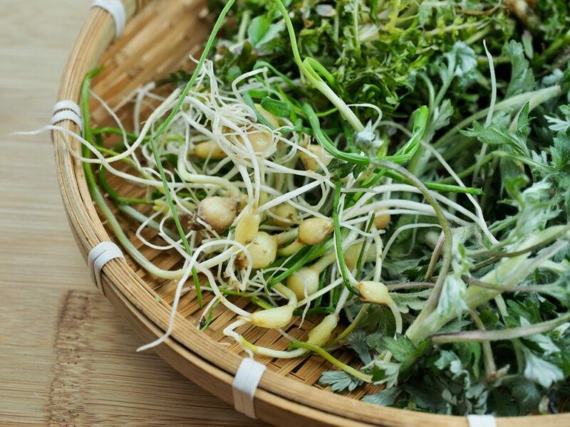 A woven basket that contains some authentic ingredients, including Shepherd's purse, mugwort, and wild chive.