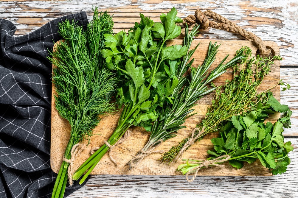 How To Preserve Fresh Herbs | Food For Net