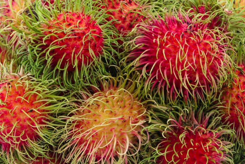 Fresh red rambutan fruits in a pile, with green spines