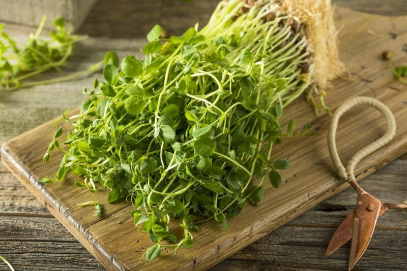 A wooden board with a large collection of pea shoots, ready for use in a recipe