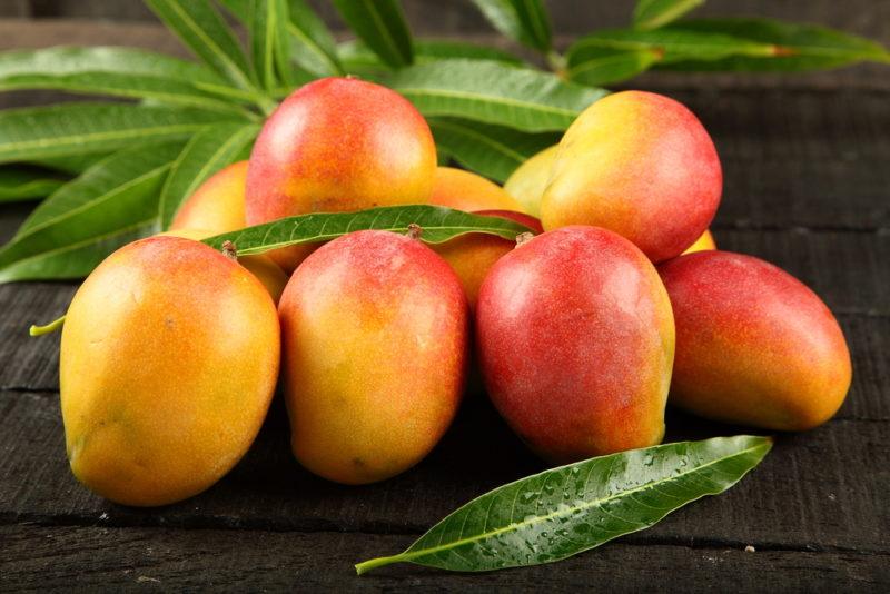 A selection of fresh mangos and mango leaves