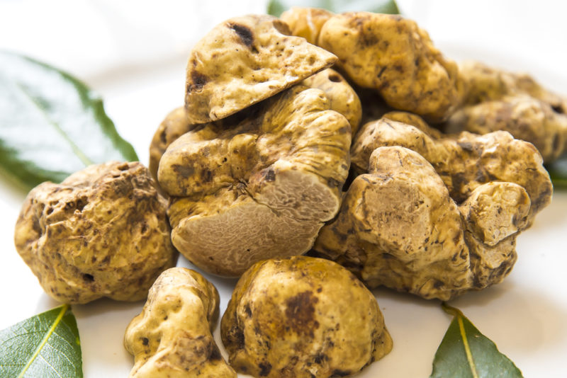 A selection of white truffles