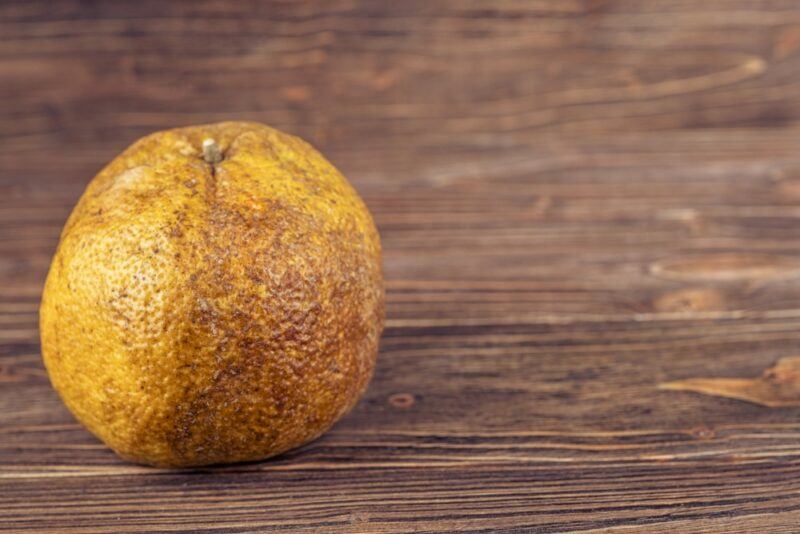 A wooden table with a single yellow ugli fruit with mottled brown skin