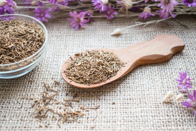 A glass jar and a wooden spoon that contains ground valerian root