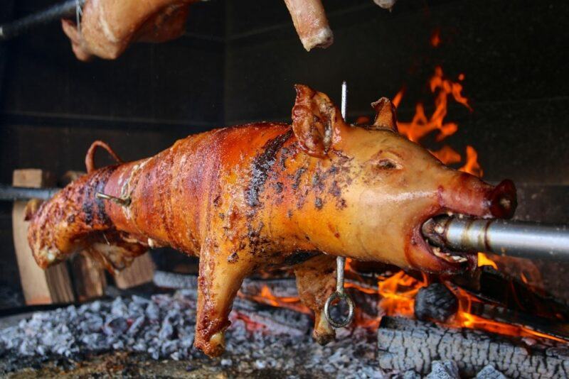 A suckling pig being roasted on a spit over the fire