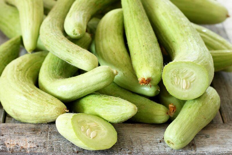 A collection of armenian cucumbers on a table, which aren't really cucumbers at all