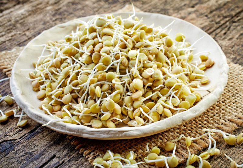 A white bowl with sprouted legumes and a few sprouts on a table